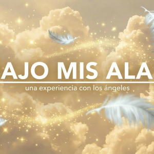 portada curso omy